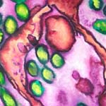 H1N1 Swine Flu virus and H1N5 Avian Flu virus as art being displayed.